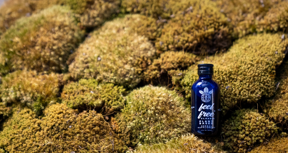 Kava by feel free and how long it takes to kick in. features kava root and leaf kratom known to h...