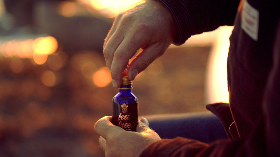 Yerba mate biohacking of energy