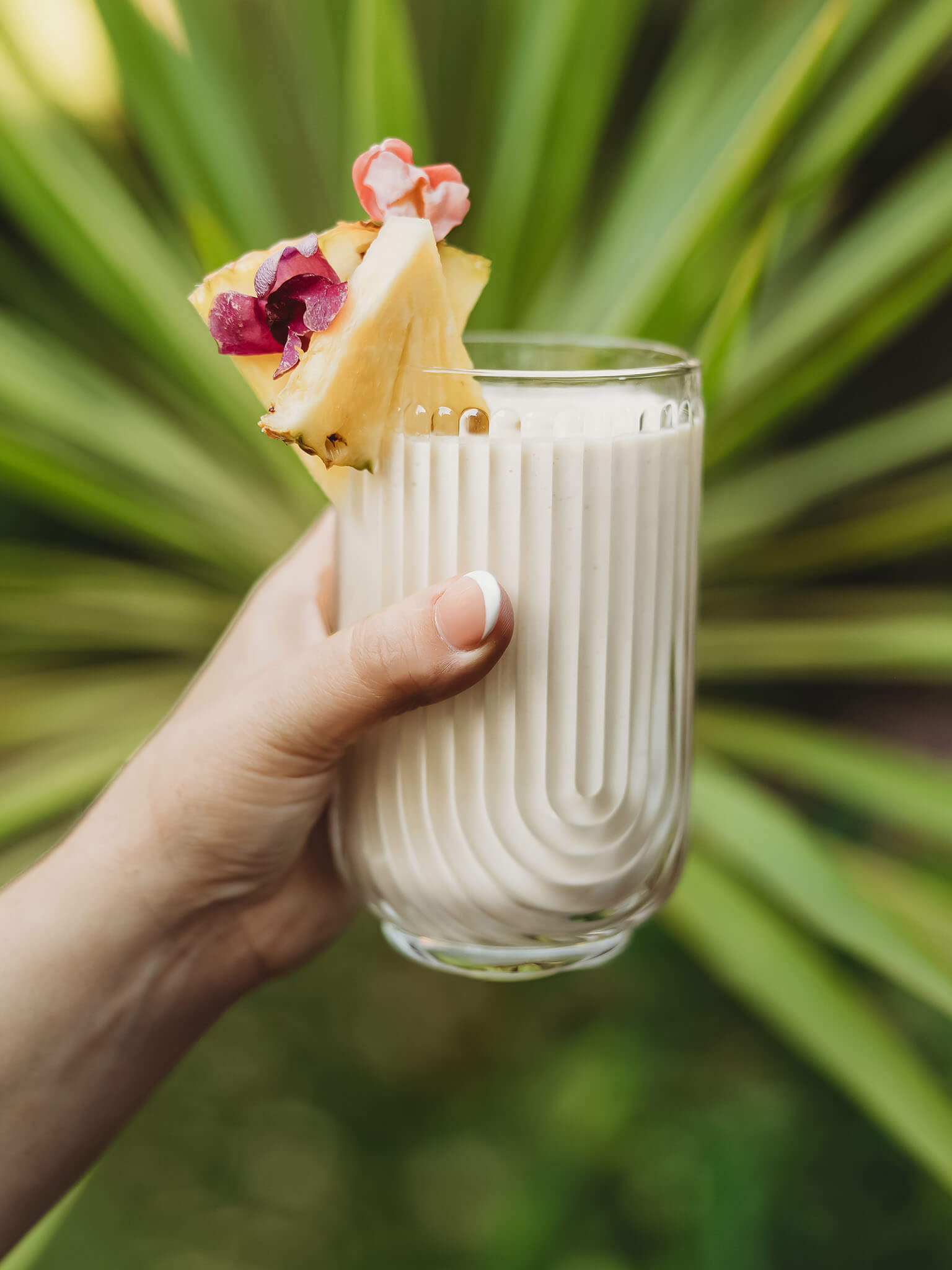 feel free Piña Dream