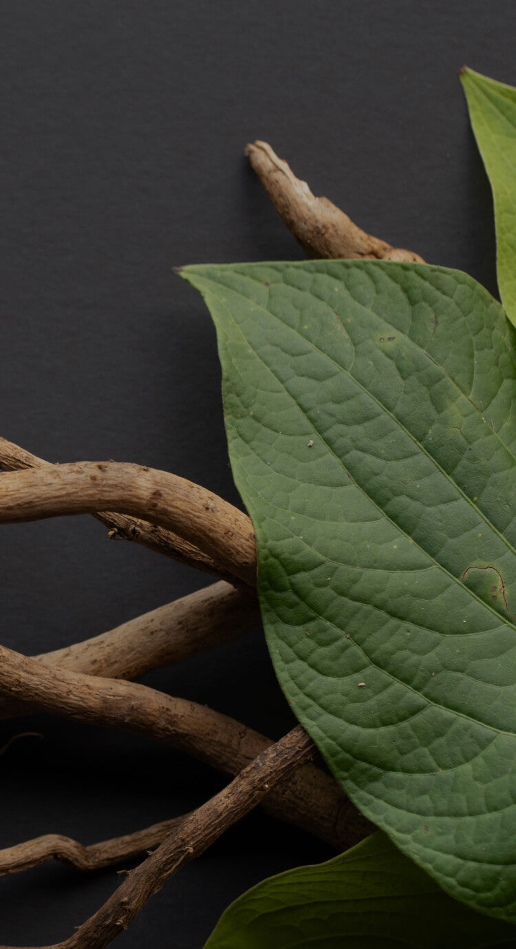 botanic tonic feel free kava