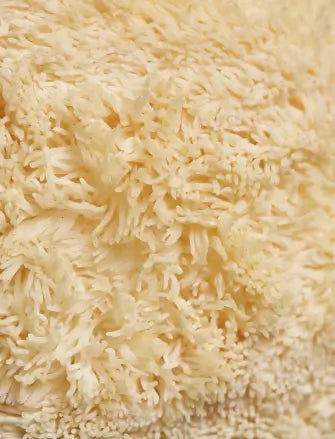 botanic tonic feel free ingredient lions mane