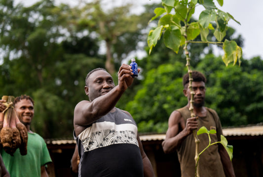 Does Kava Show Up On A Drug Test? | Botanic Tonics