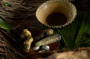 Is Kava Healthy? Explained | Botanic Tonics