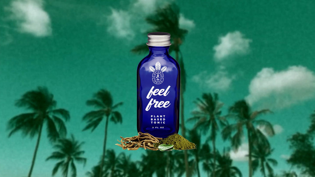 feel free wellness tonic with kava for assisting with occasional anxiety, discomfort and sleep cycles