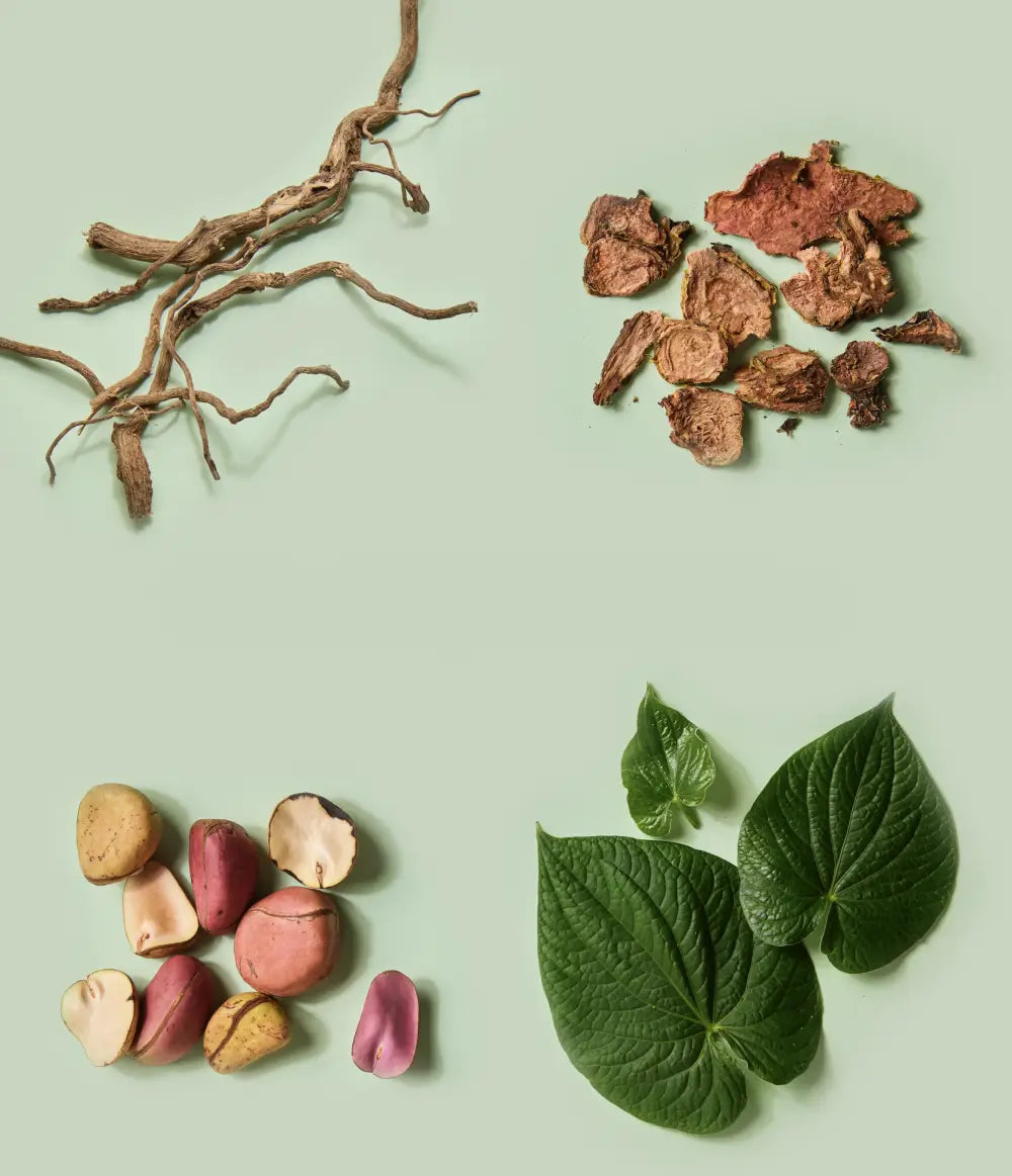 Ingredients – Botanic Tonics